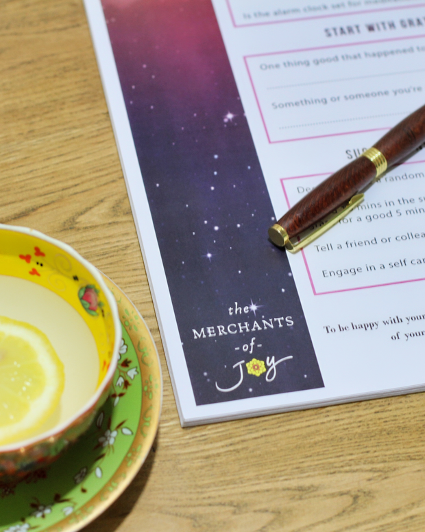 The 5 Minute Nightshift Journal.